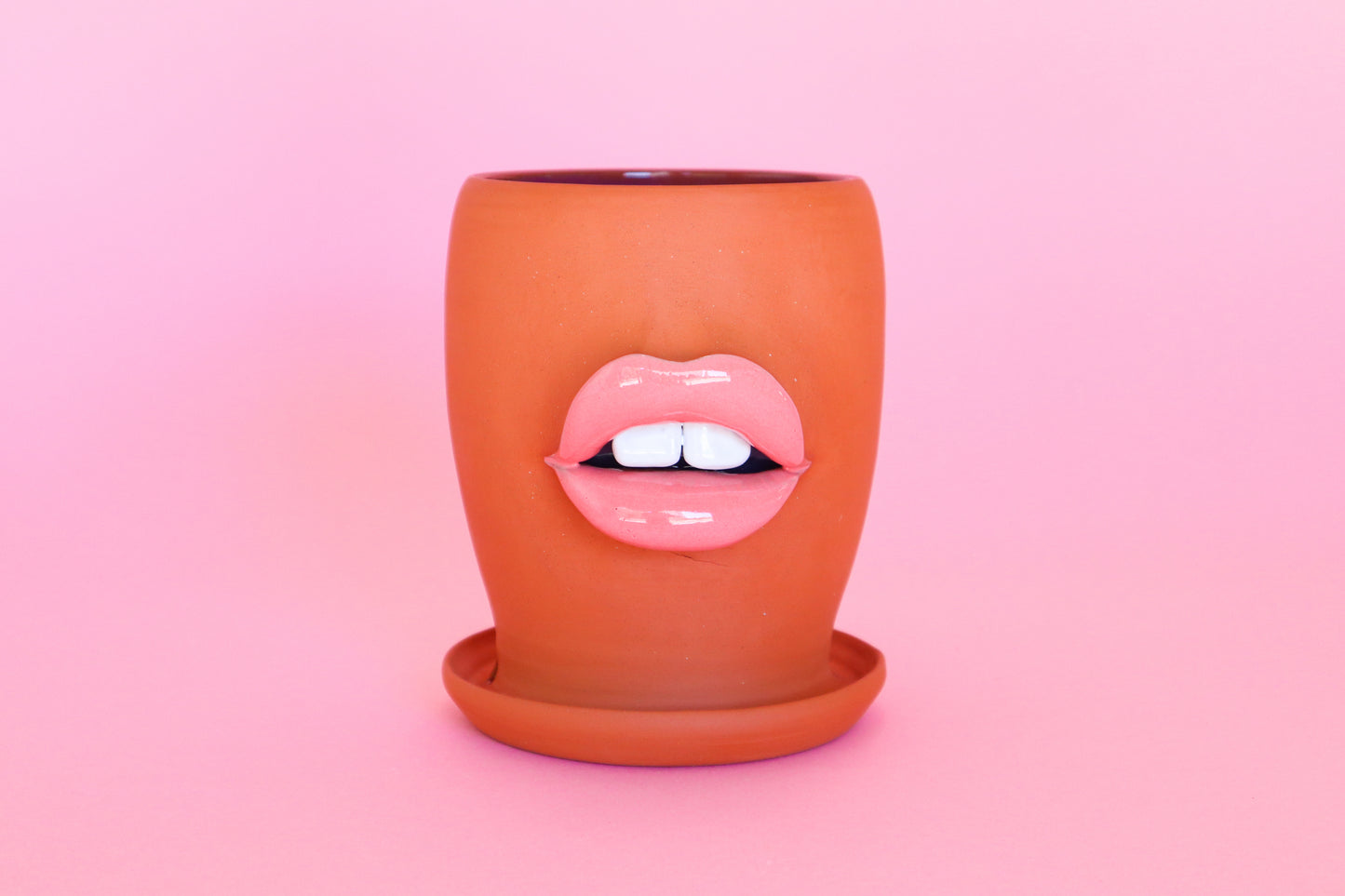 Planter Pre-Order