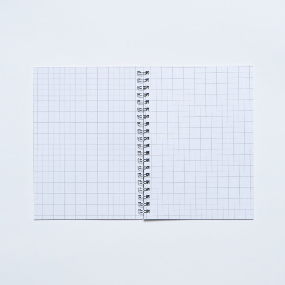Alphanet Notebook I